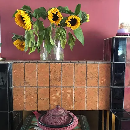 Dom wakacyjny Heerlijke Stadswoning Aan Water *