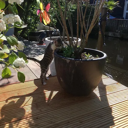 Heerlijke Stadswoning Aan Water Holiday home Zaandam